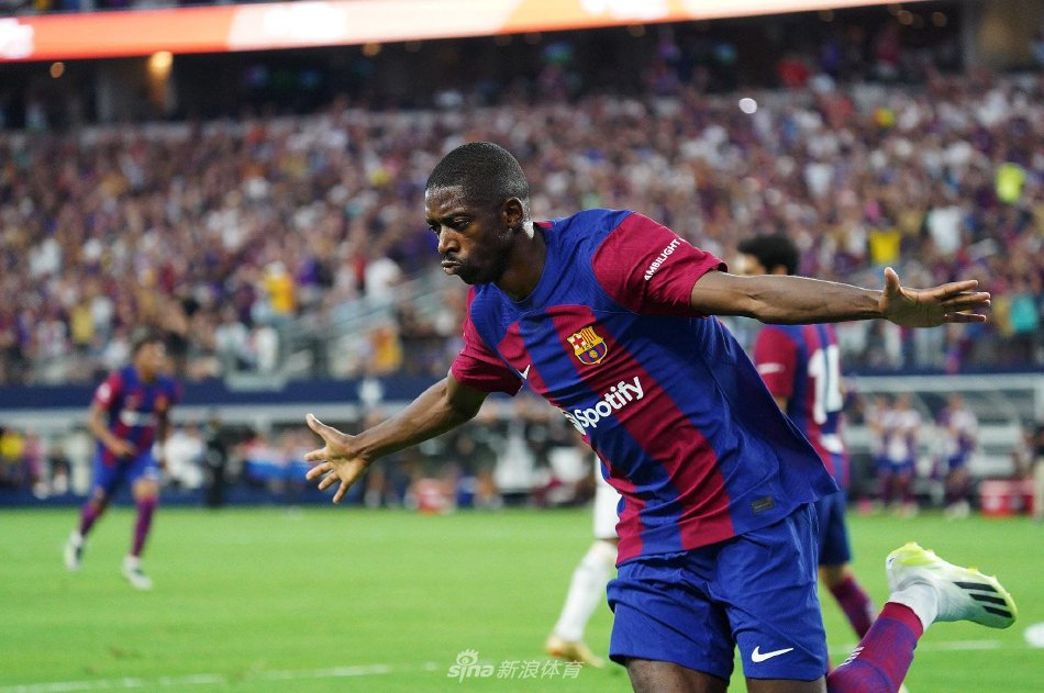 一个类似的 一个类似的